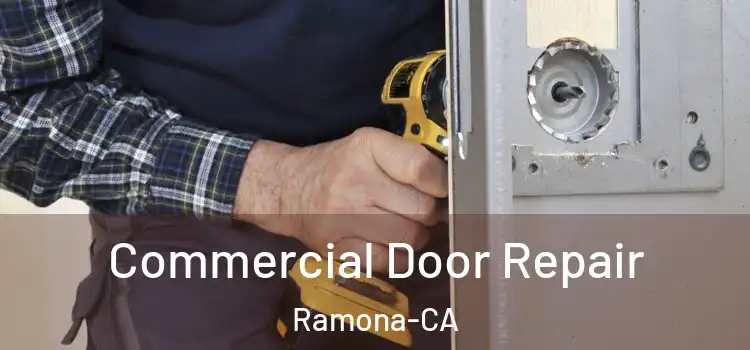 Commercial Door Repair Ramona-CA